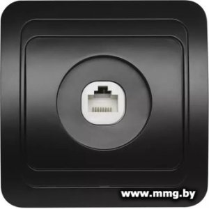 Купить Розетка SmartBuy Марс SBE-02b-S1-RJ в Минске, доставка по Беларуси