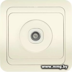 Купить Розетка SmartBuy Марс SBE-02i-S1-TV в Минске, доставка по Беларуси