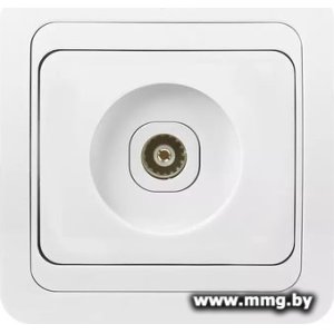 Купить Розетка SmartBuy Марс SBE-02w-S1-TV в Минске, доставка по Беларуси