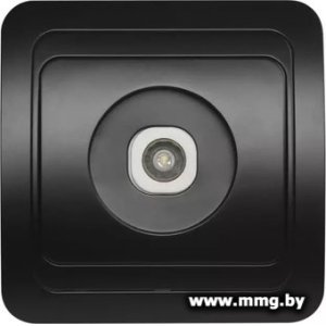 Купить Розетка SmartBuy Марс SBE-02b-S1-TV в Минске, доставка по Беларуси