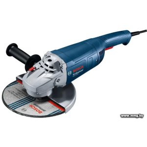 Купить Bosch GWS 2200 Professional 06018C0320 в Минске, доставка по Беларуси