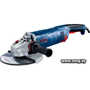 Купить Bosch GWS 24-230 JZ Professional 06018C3300 в Минске, доставка по Беларуси