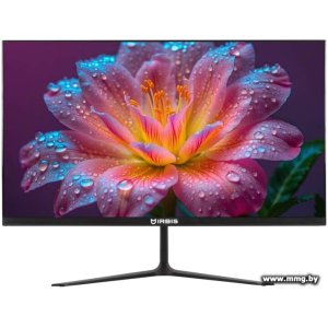 IRBIS SmartView IMVW22FV