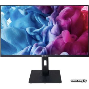 IRBIS SmartView IMVW24WIDR