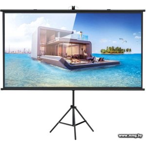 Купить Future Vision Tripod Cinema 220 T220HMW в Минске, доставка по Беларуси