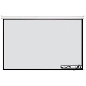 Купить Future Vision Cinema 200 W200HMW в Минске, доставка по Беларуси