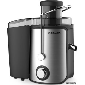 Купить Brayer BR1711 в Минске, доставка по Беларуси