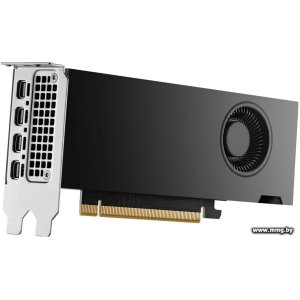 Купить NVIDIA RTX 2000 Ada Generation 16GB GDDR6 900-5G192-2240-000 в Минске, доставка по Беларуси