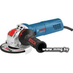 Bosch GWX 9-125 S Professional 06017B2000