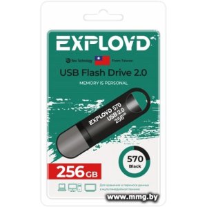 Купить 256Gb Exployd 570 (черный) EX-256GB-570-Black в Минске, доставка по Беларуси