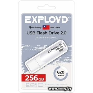 Купить 256Gb Exployd 620 (белый) EX-256GB-620-White в Минске, доставка по Беларуси
