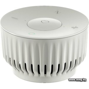 Купить Sber SberBoom Mini (туманный белый) SBDV-00095G в Минске, доставка по Беларуси