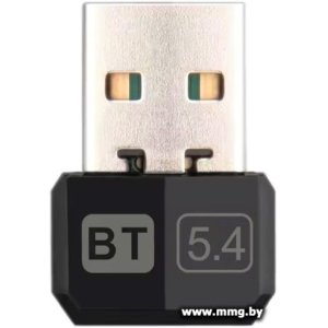 Беспроводной адаптер Ritmix RWA-354