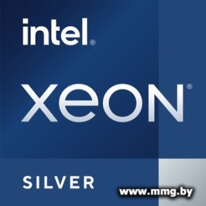 Intel Xeon Silver 4510