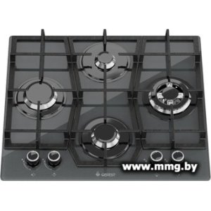 Купить GEFEST ПВГ 2231-10 К56 в Минске, доставка по Беларуси