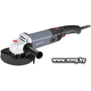 Купить Profipower PGS-1200R в Минске, доставка по Беларуси