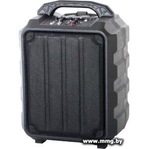 Купить Колонка для вечеринок Leem PR-6 в Минске, доставка по Беларуси