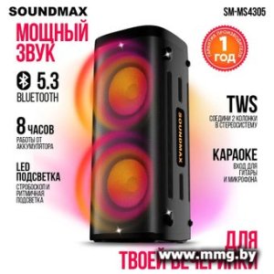 Купить Колонка для вечеринок Soundmax SM-MS4305 в Минске, доставка по Беларуси