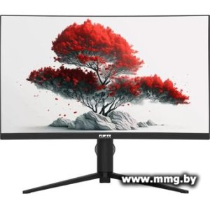 Купить RDW Computers RDW2706C (Q03В375V2A1) в Минске, доставка по Беларуси