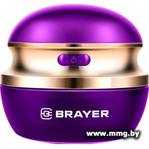 Купить Brayer BR5031 в Минске, доставка по Беларуси