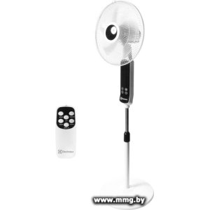 Купить Electrolux EFF-901N в Минске, доставка по Беларуси