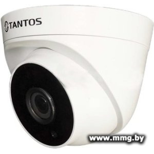 Купить IP-камера Tantos TSi-Eeco25FP [00-00122952] в Минске, доставка по Беларуси