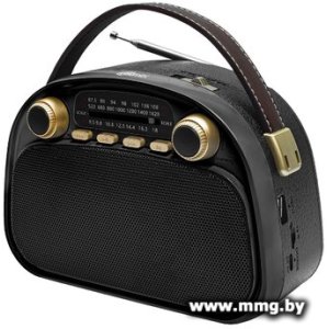 Радиоприемник Ritmix RPR-040 (черный)