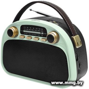 Радиоприемник Ritmix RPR-040 (мятный)