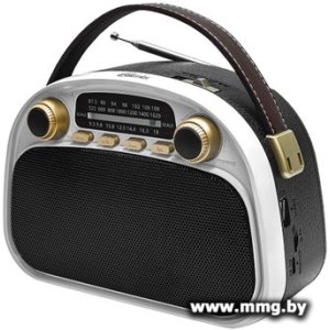 Радиоприемник Ritmix RPR-040 (белый)