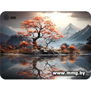 Купить CACTUS CS-MP-PRO18XL в Минске, доставка по Беларуси