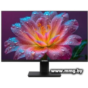 IRBIS SmartView IMVW24FID01