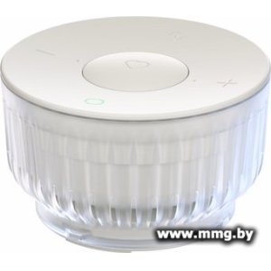 Sber SberBoom Mini 2 (неоновый серый) SBDV-00250G