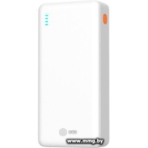 Купить CACTUS CS-PBFSEA-20000 20000mAh (белый) в Минске, доставка по Беларуси