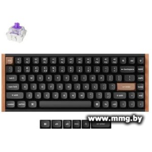 Купить Keychron K2 HE Special Edition Black K2H-F1 (Nebula Magnetic в Минске, доставка по Беларуси