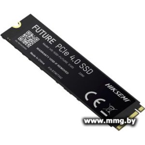 Купить SSD 512Gb Hiksemi Future HS-SSD-FUTURE в Минске, доставка по Беларуси