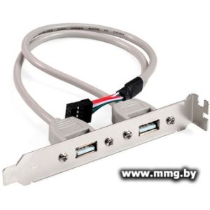 Купить Планка ExeGate BrctUSB2-2A EX298294RUS в Минске, доставка по Беларуси