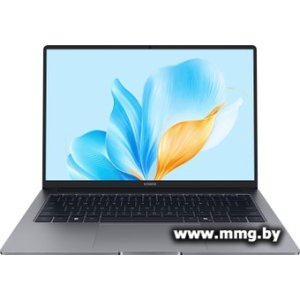 Купить HONOR MagicBook X14 2025 FRG-X 5301ALWJ в Минске, доставка по Беларуси