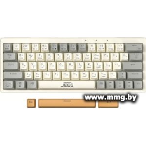 JEGG ZA63 Pro Beige Gray Yellow (TNT Yellow)