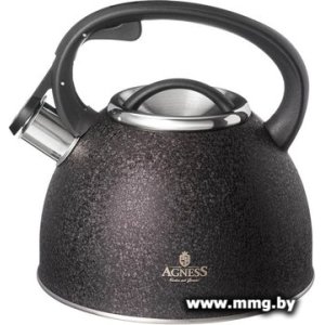Купить Чайник Agness Teekessel 907-251 в Минске, доставка по Беларуси