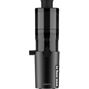 Купить Garlyn J-400 в Минске, доставка по Беларуси