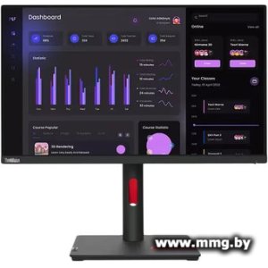 Lenovo ThinkVision T24i-30 63CFMATXUK