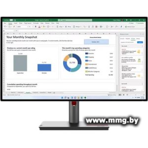 Купить Lenovo ThinkVision P27h-30 63A1GAT1UK в Минске, доставка по Беларуси