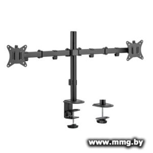 Кронштейн ErgoSmart Twin II