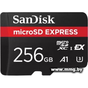 Купить SanDisk 256GB microSDXC Express SDSQXFN-256G-GN4NN в Минске, доставка по Беларуси