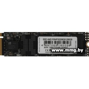 SSD 256GB AMD Radeon R3 R3MP30256G8