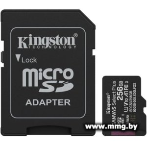 Купить Kingston 256GB microSDXC Canvas Select Plus SDCS3/256GB в Минске, доставка по Беларуси