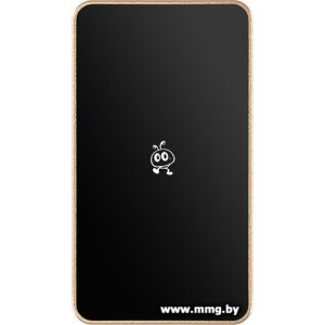 Купить SSD 256GB Smartbuy P5 Pro SBD256P5CU3C (золотистый) в Минске, доставка по Беларуси
