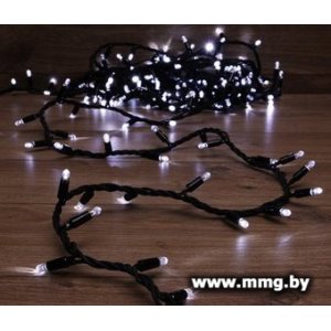 Купить Гирлянда ULED ULED-SL-100-24V-(B-F-W/W) в Минске, доставка по Беларуси