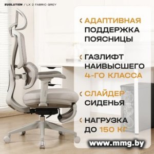Купить Evolution LX 2 Fabric Black (серый) в Минске, доставка по Беларуси