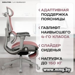 Купить Evolution LX 3 Burgundy (бордовый) в Минске, доставка по Беларуси